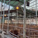 준성농장 이미지