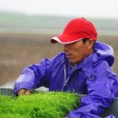 신림면 성남2리경로당 | 원주시 주요 행사계획(2025. 3. 28. 현재)