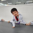 경희대 올림픽 태권도장 이미지