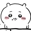 히카(HICA)