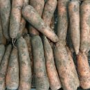 민간요법 - 당근효능 &amp; 다른 채소와 섞어 만들면 효능 반감 이미지