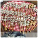 금전농장 이미지