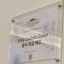 수원-1563 | 서울러가 수원까지 미용실 가는 이유 / 타마시헤어 수원시청점 교은 점장