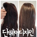 청담 헤어 갤러리 | 논현동미용실 추천, 단헤어디자인 청담플래그쉽에서 붉은 기 없는 매트브라운 컬러