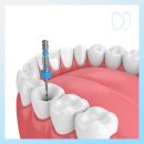 참진디지털치과의원 이미지
