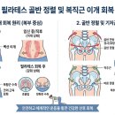 수유통 - 전주시 완산구 홍산북로 73 | 『생애주기 및 대상별 필라테스 2』 산후 필라테스: 늘어난 코어 근육 회복과 골반 정렬의 중요성