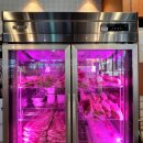 이마트에브리데이 서판교점 | 고반식당 서판교점 | 숙성한돈 + 점심 한식정식 조합 직장인 추천 판교맛집 후기