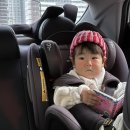 지혜숲어린이집 | 우주사진 한 가득한 11월 4째주🩵💙🤍