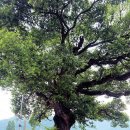 덕곡면 보건지소 이미지