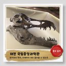 유성중앙유치원 | 대전 필수코스! 아이와 함께하는 국립중앙과학관