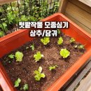 청평화훼종묘사 이미지