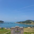 청산 단풍나무길 이미지