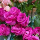 연제일신병원 이미지