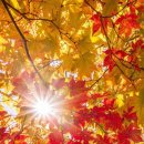 1036 | 사랑 명상 1036