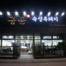 소노베스트 이미지