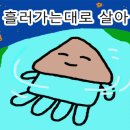 속초해녀마을(바람꽃해녀마을) 이미지