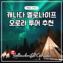 위도빌리지3 | 캐나다 옐로나이프 오로라 투어 쏘니오로라 추천