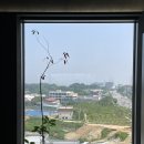 [제네시스 청주] 예약 없이 이용한 &#39;오너스 라운지&#39; 이용 후기｜예약 &amp; 내부 분위기