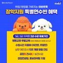 춘천애견미용학원 이미지