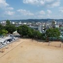 대구교육대학교안동부설초등학교 이미지