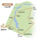 올림픽공원-몽촌역사관 이미지