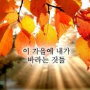 칭구야 Daum카페