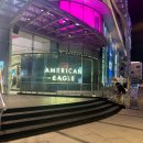 정인플라워 | Gyum_in chiang mai