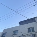 양화포차 | [당산역 안주맛집] 신선한 해산물 안주가 기깔나는 회식하기 좋은 당산역 포차 양화포차 리얼후기