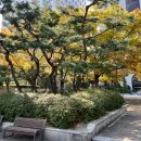 지인내과의원 이미지