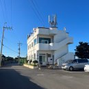 스테이 마르하바 이미지