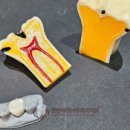 튼튼내이사랑치과의원 이미지