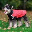 댕댕포유 이미지