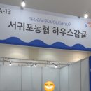 제주전통한과 도솔천