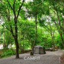봉명로 메타세콰이어길 | 강원도 오토캠핑 고라데이마을, 계곡 힐링의 3가지 매력 🏕️