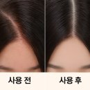 염색.두피(양산점) 네이버블로그