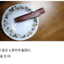 BBQ손가락 논란을 실험해본 DC인 이미지