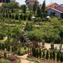 광광 농원 이미지