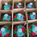 🥥아이브릭스- 베트남 영코코넛 7kg 9과🥥 이미지