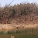 한반도면-2 이미지