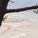 내성천펜션 이미지