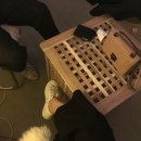 삼광이용소 이미지