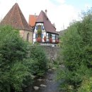 손영기목장 이미지