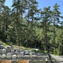 블랙트리하우스 이미지