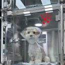 모두동물병원 이미지