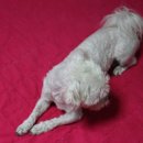 (주)올네이쳐 이미지