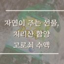 별빛담은마을 이미지