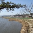 십리대밭축구장 이미지