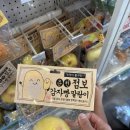 거북문구