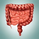 듬직한 현내과의원 이미지