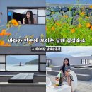 삼동 스테이 | 남해 감성숙소 오션뷰 자쿠지 독채 스테이더담 남해삼동점 찐 후기